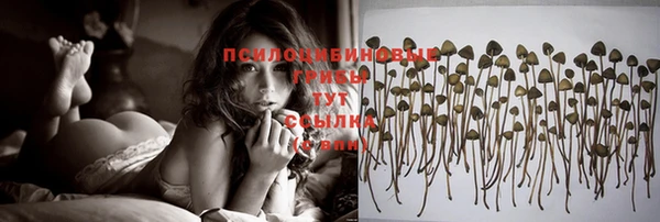 MESCALINE Вязьма
