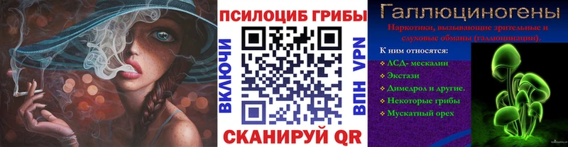 Галлюциногенные грибы мицелий  Купить где  Россошь 